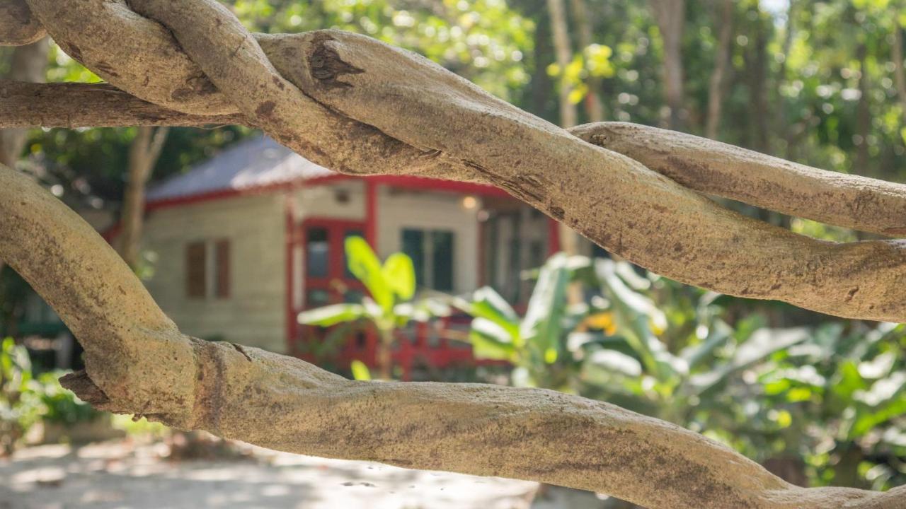 Hotel Sarasea Koh Rong Samloem Koh Rong Sanloem Esterno foto